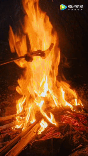 640 (2).gif